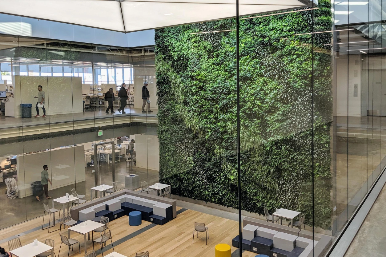 Biophilic architecture