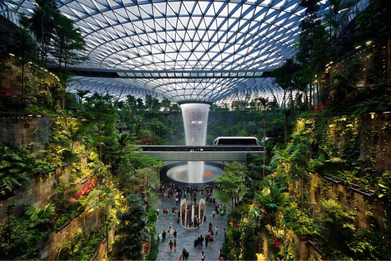 Biophilic architecture